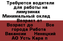 Требуются водители для работы на лимузинах. › Минимальный оклад ­ 40 000 › Возраст от ­ 28 › Возраст до ­ 50 - Все города Работа » Вакансии   . Ненецкий АО,Усть-Кара п.